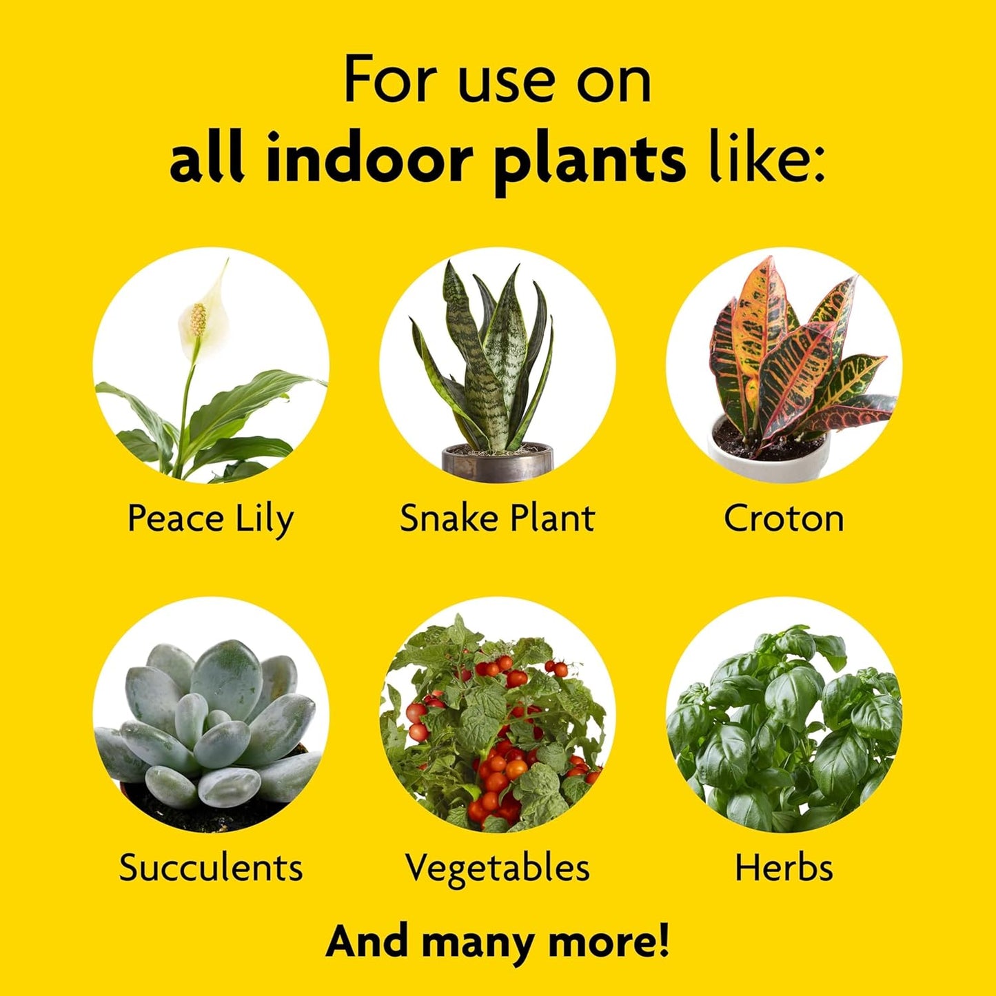 Miracle-Gro Indoor Potting Mix & Plant Food Bundle - 6 Qt Potting Mix + 8 Oz Fertilizer for Thriving Houseplants