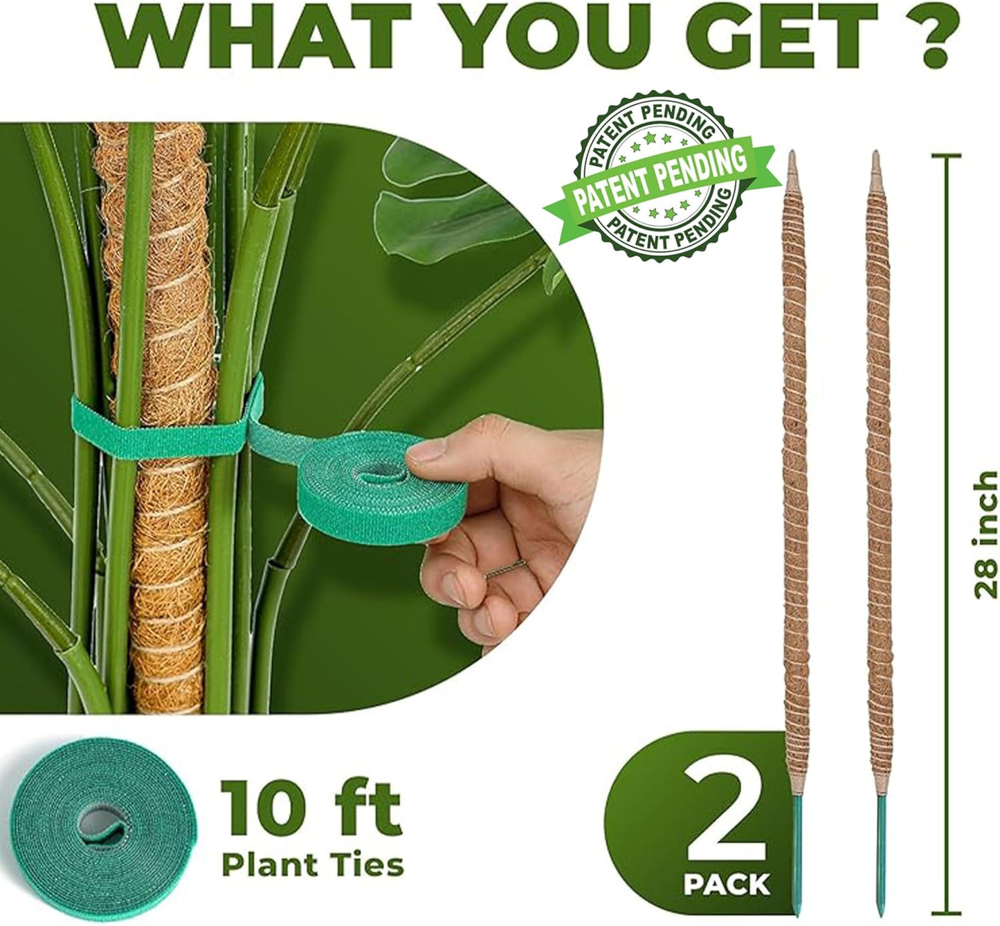 Skiennix 28-Inch Bendable Moss Pole | Indoor Plant Support Stakes for Monstera & Climbing Plants