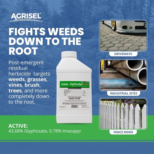 Agrisel GlyPhoSel Plus Weed Killer - Long-Lasting Action for Tough Weeds | 32 Ounces + 3-Pack Gloves