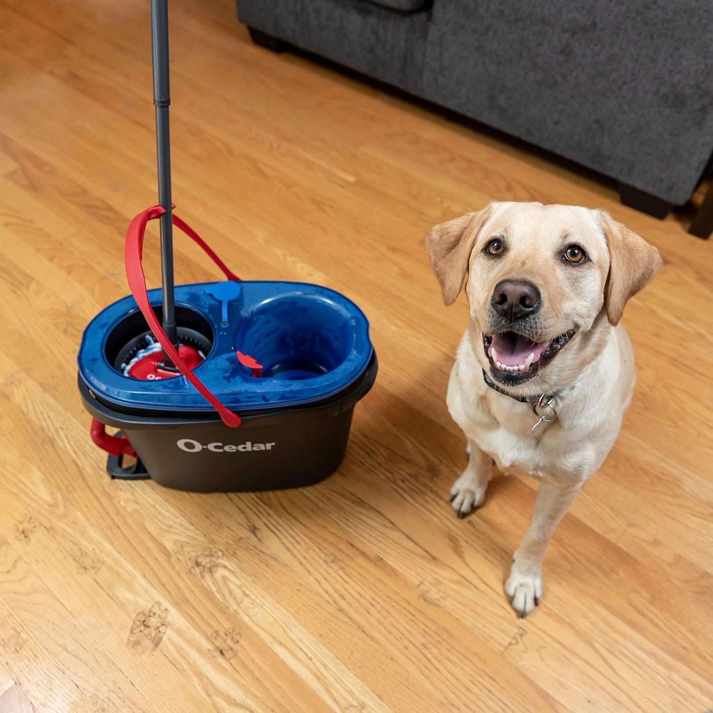 O-Cedar RinseClean Spin Mop System - Effortless Cleaning with Water | Eliminates 99% of Bacteria