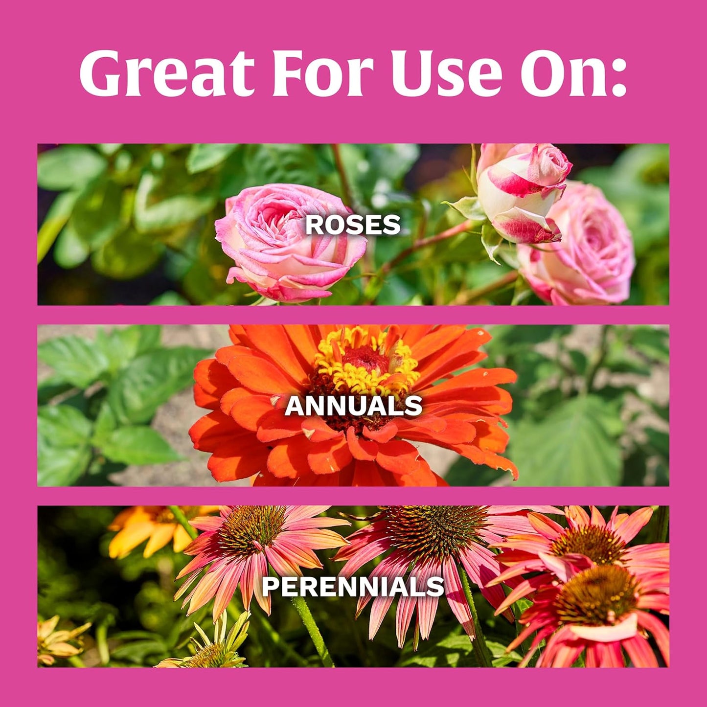 Scotts Rose & Bloom Plant Food - Continuous Release Formula for Vibrant Blooms | 3 lb