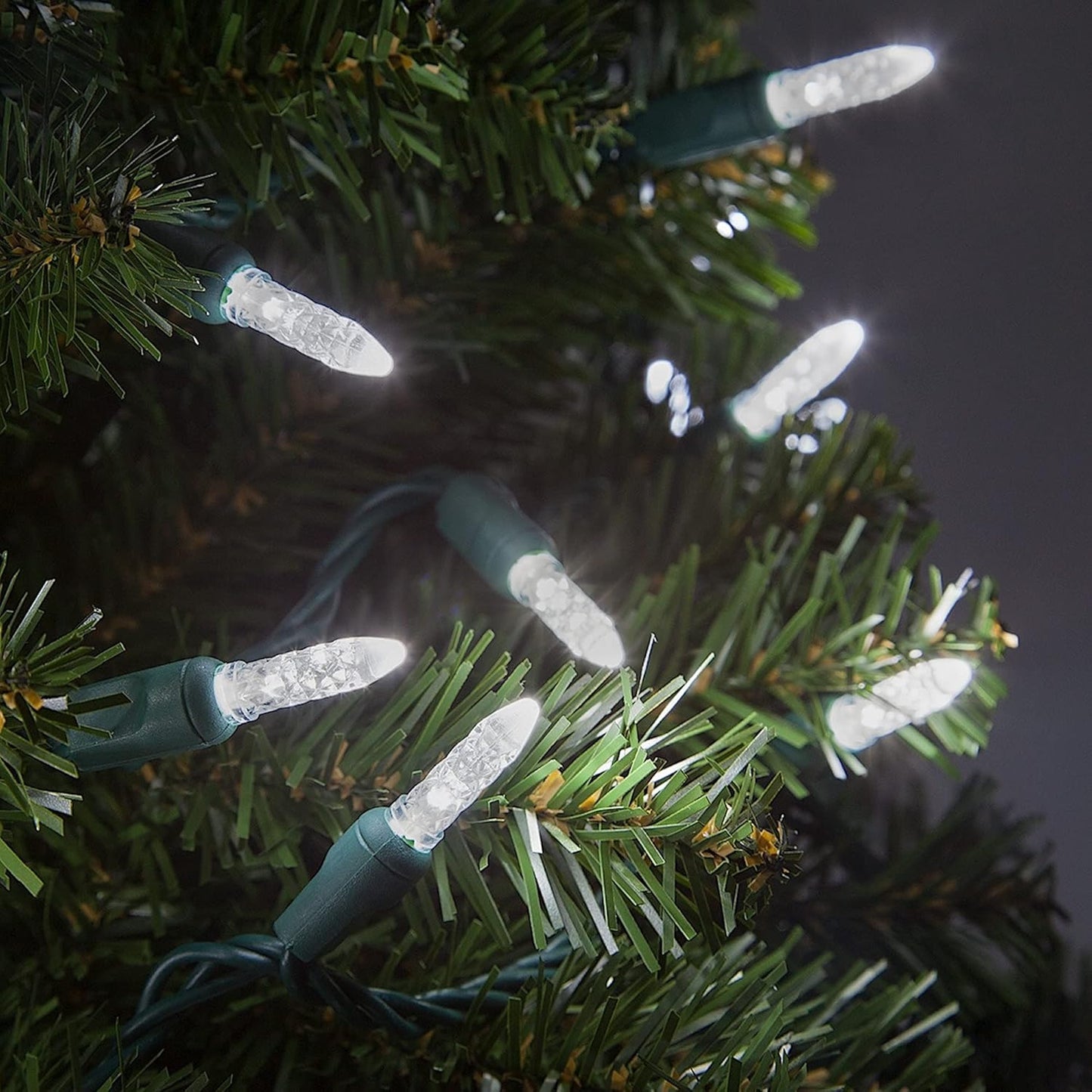 Skiennix 24 Ft M5 LED Christmas Lights - 70 Count Cool White Mini String | Indoor/Outdoor Use