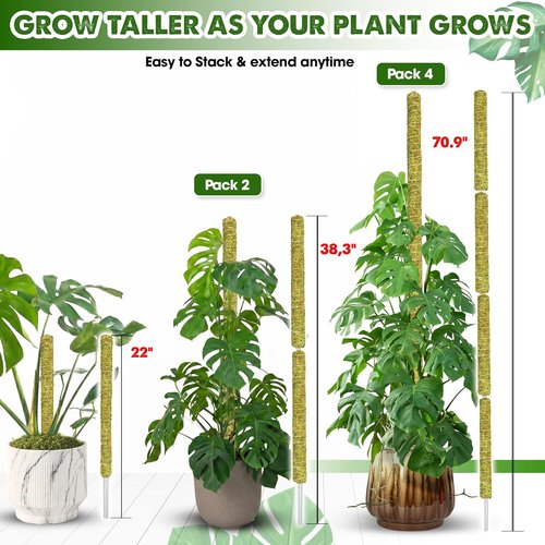 DUSPRO Natural Stackable Moss Pole - Monstera Plant Support Sticks | 22" Handmade Indoor Plant Stakes (2 Pcs)