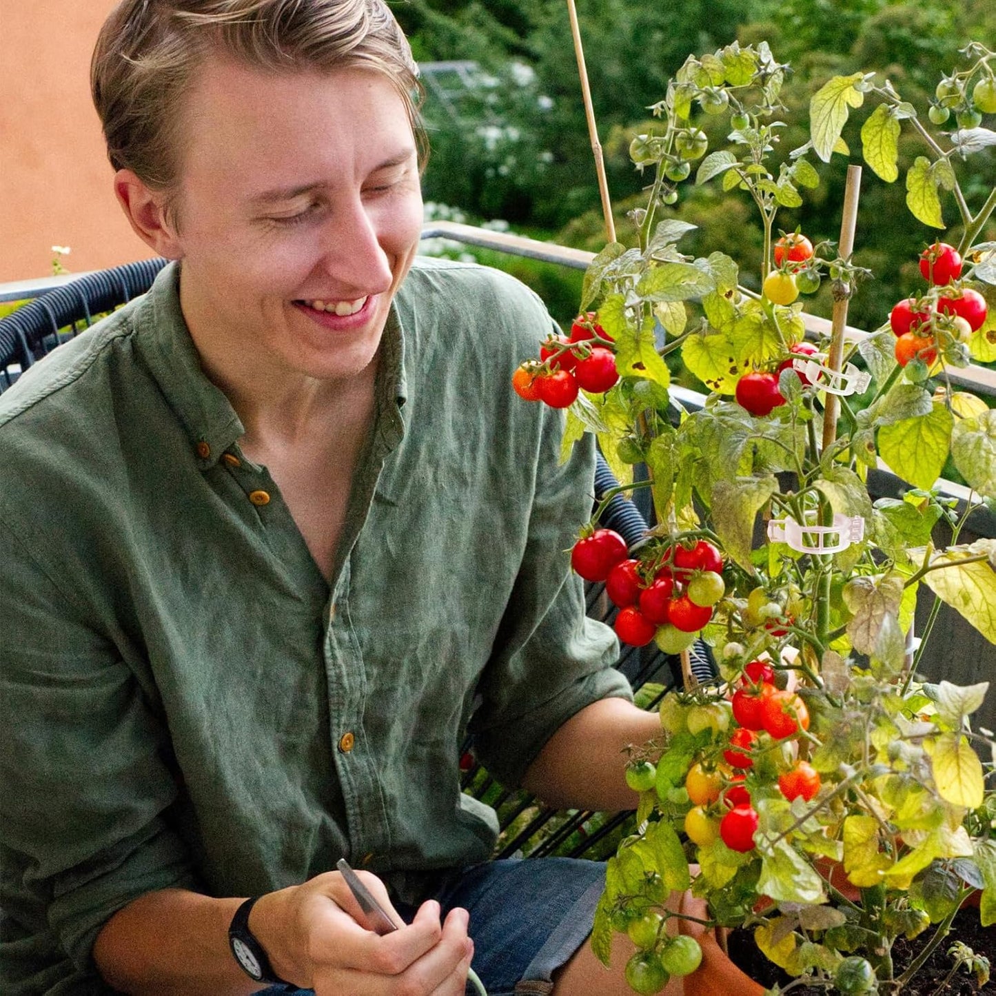 Tomato Clips - 100 Pack Clear Reusable Plant Support Clips for Climbing Vegetables & Vines