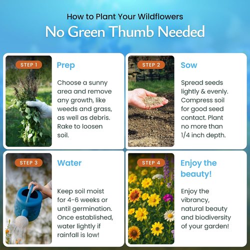 Created By Nature Perennial Flower Seeds - 15 Varieties | 49,000 Wildflower Seeds for Vibrant Gardens