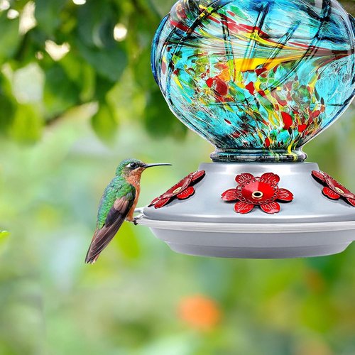 BOLITE Hummingbird Feeder - Hand Blown Glass Design with 5 Bee-Proof Ports | 22oz Blue Peony Gift