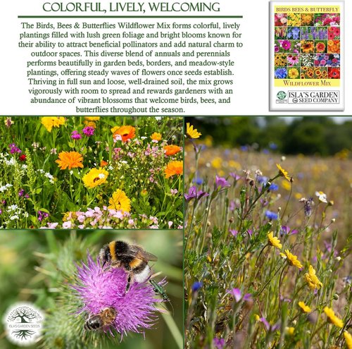 Isla’s Garden Seeds Wildflower Mix – 500+ Non-GMO Heirloom Seeds for Colorful Pollinator Gardens