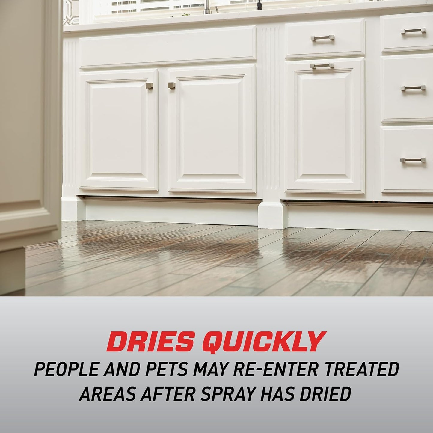 Ortho Home Defense Max Indoor Insect Spray - Kills Ants, Roaches & Spiders | No Fumes, 14 oz.