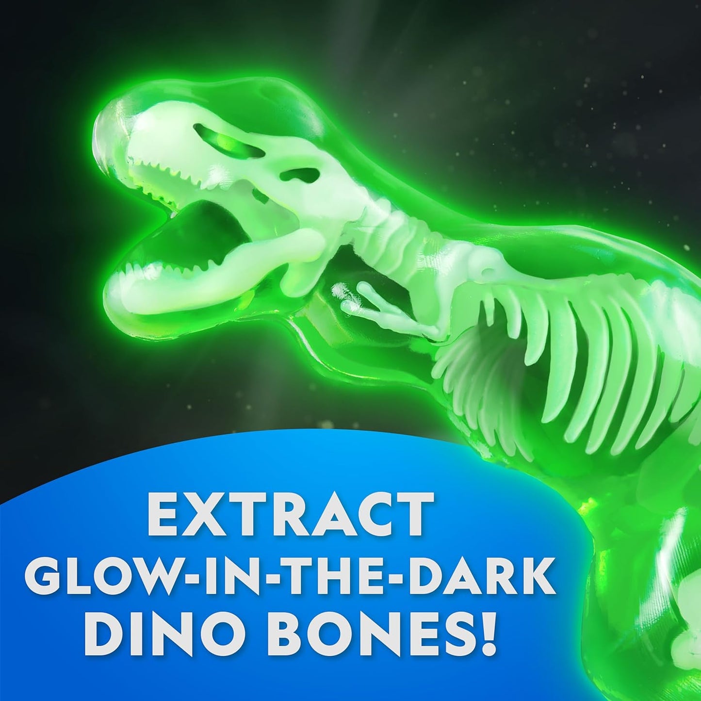 National Geographic Glow-in-The-Dark T. Rex Dissection Lab - Build a 9.5” Glowing Dinosaur Skeleton Model | Includes Refill Pack & Learning Guide
