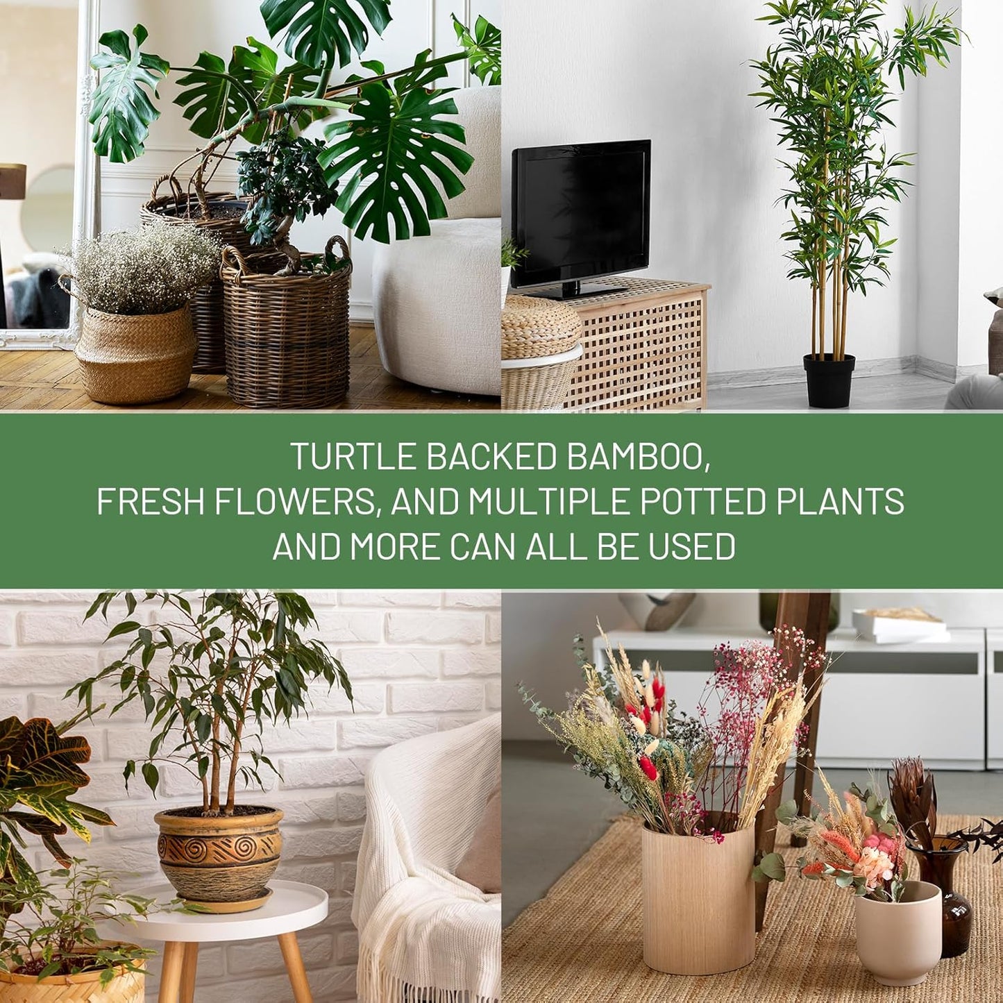 Monstera Plant Support Stakes - 4PCS Iron Design for Indoor Plants | Stable Growth & Turtle Shell Clamp