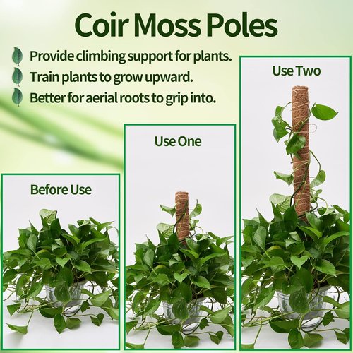 Eibikdi Moss Pole - 68-Inch Plant Support Stakes for Monstera & Indoor Climbing Plants | Includes 65ft Twist Ties & Jute Rope