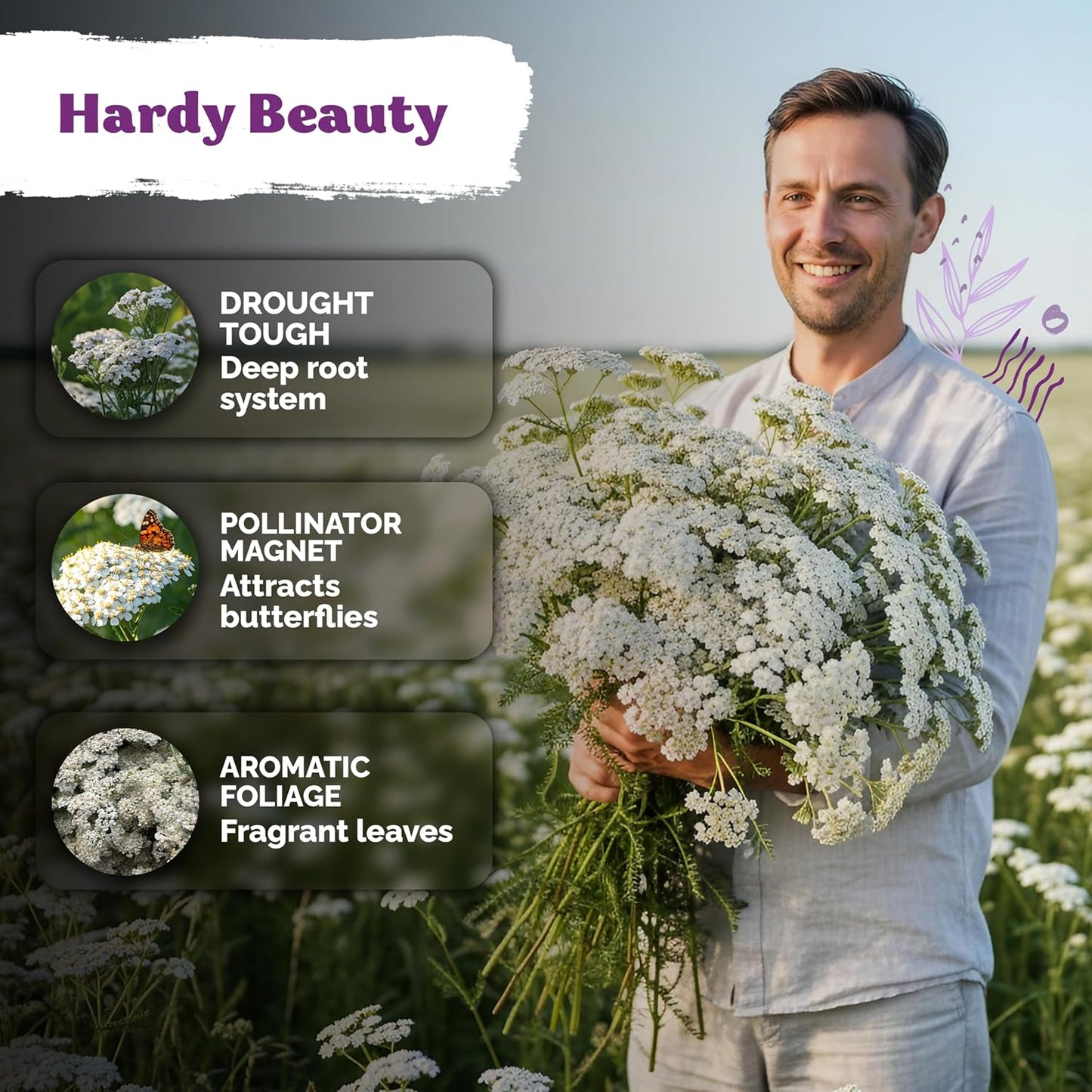 KVITER 7000 White Yarrow Seeds - Organic Heirloom Perennial Flower Seeds for Herb Gardens & Meadows