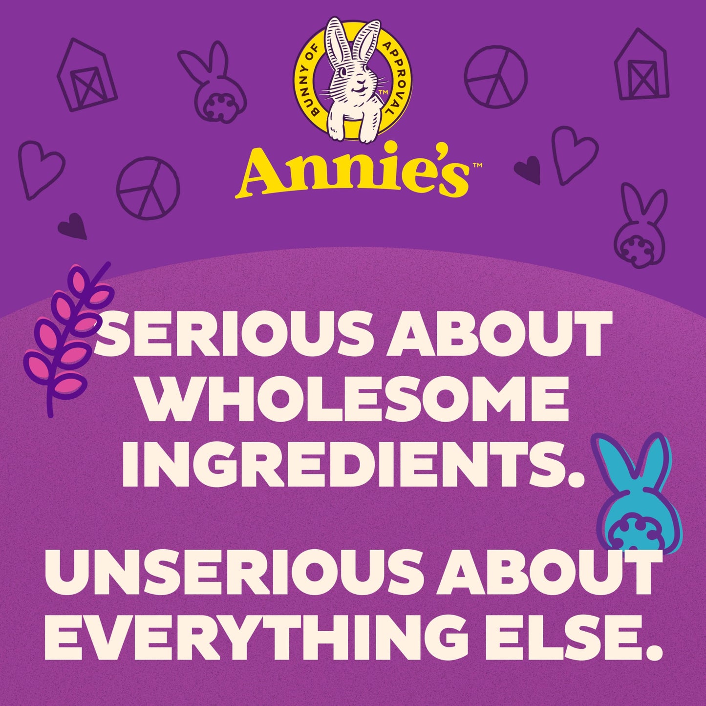 Annie's Organic Variety Pack, Cheddar Bunnies, Bunny Grahams and Cheddar Squares, 12 Pouches, 11 oz