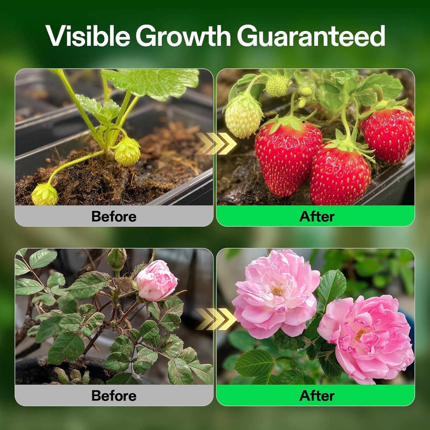 VIVOSUN Hydroponic Fertilizer Bundle - Liquid Nutrients A & B for Optimal Plant Growth | Quart Set