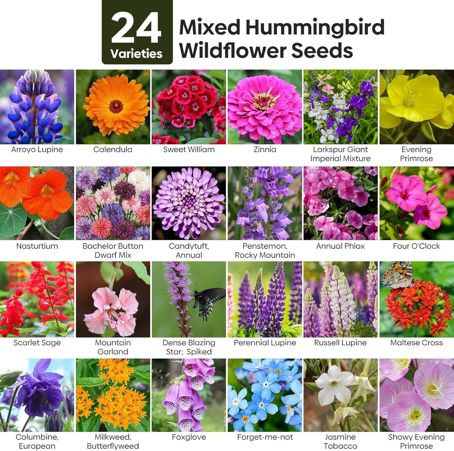 Wildflower Seeds | Hummingbird & Butterfly Mix - 24 Varieties, 1 Ounce, No Filler, Resealable Package