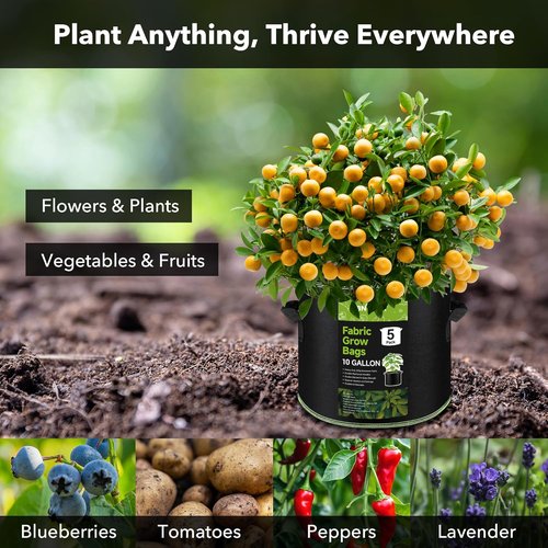 BN-LINK 10 Gallon Grow Bags - Heavy Duty Aeration Fabric Pots with Handles for Vegetables & Flowers