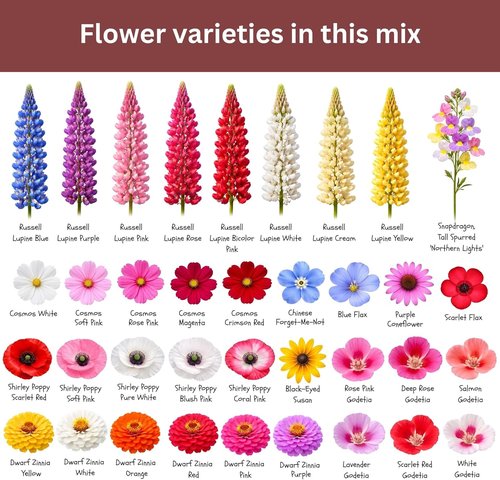 Butterfly and Hummingbird Wildflower Mix - Non-GMO Seeds | 30,000+ Seeds in 1 oz Resealable Packet