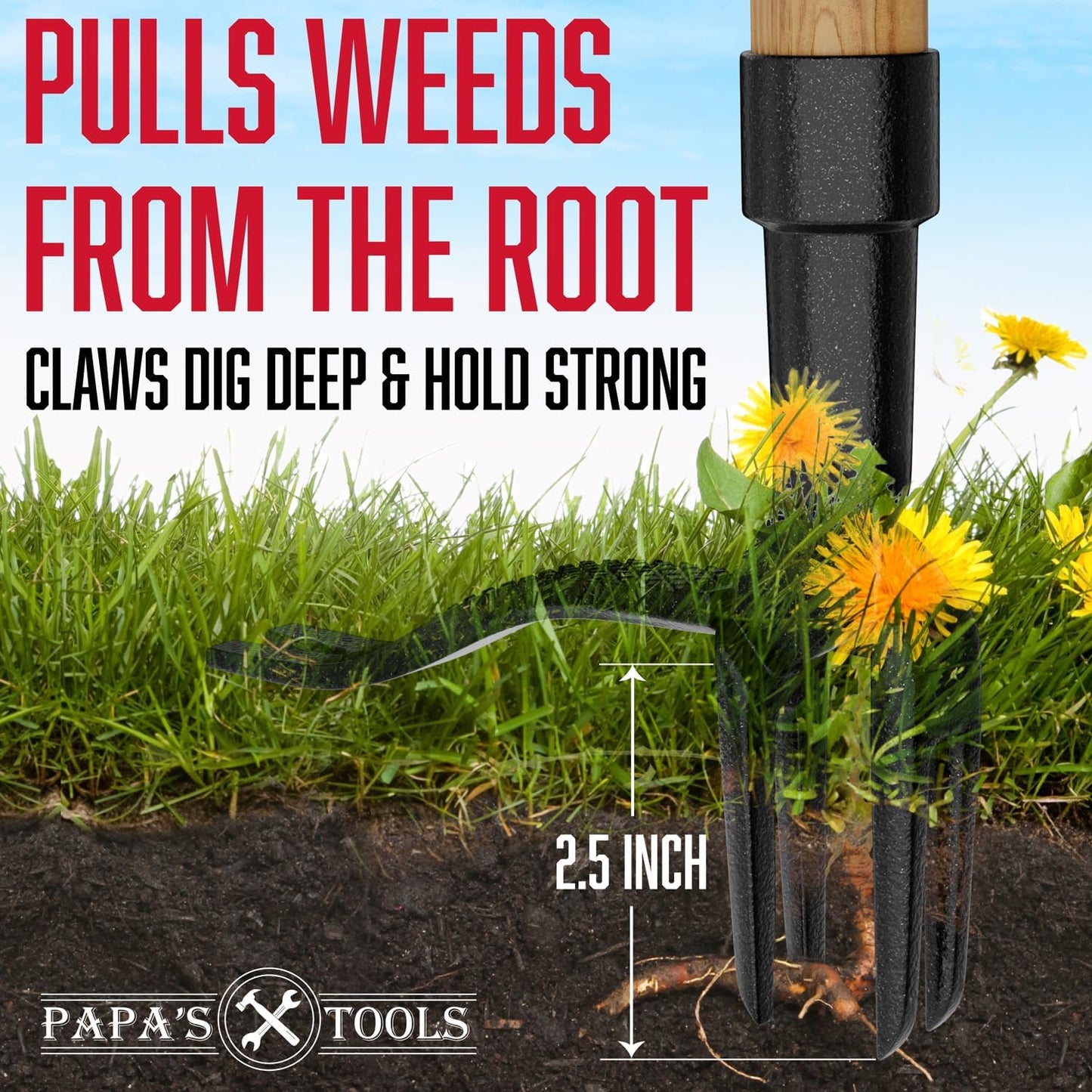 Papa's Tools Weeder - Stand-Up Weed Puller with Long Bamboo Handle & 4-Claw Steel Head | Effortlessly Remove Weeds