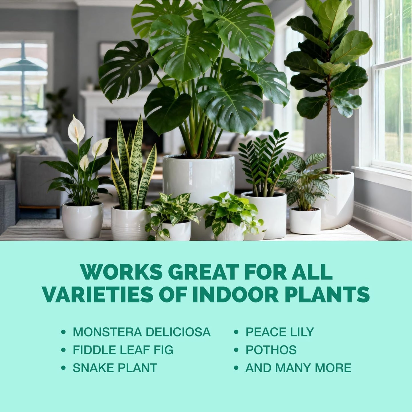 Skiennix Indoor Plant Food - Liquid Fertilizer for Vibrant Growth & Strong Roots | 8oz