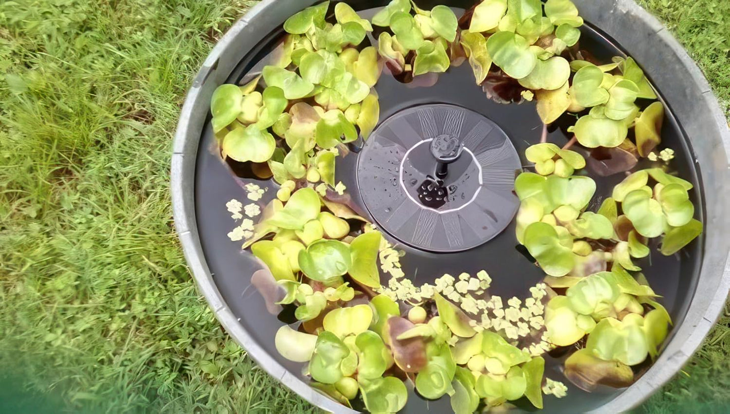 Solatec Solar Powered Fountain Pump - 1.3W Solar Panel Kit for Bird Bath, Pond & Garden