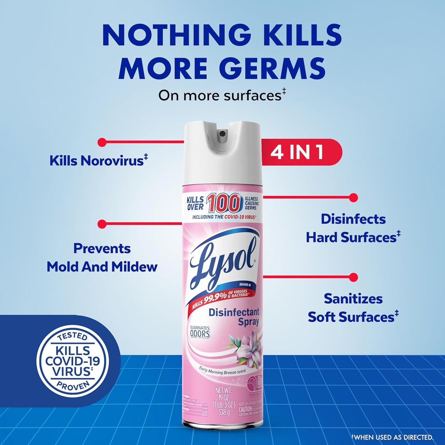 Lysol Disinfectant Spray - Antibacterial & Sanitizing Formula | Early Morning Breeze, 19 Fl Oz (Pack of 2)