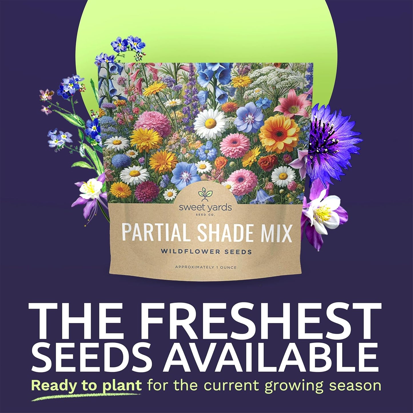 Wildflower Seeds - Partial Shade Mix with 7,000+ Open Pollinated Annual & Perennial Seeds - 1 Ounce