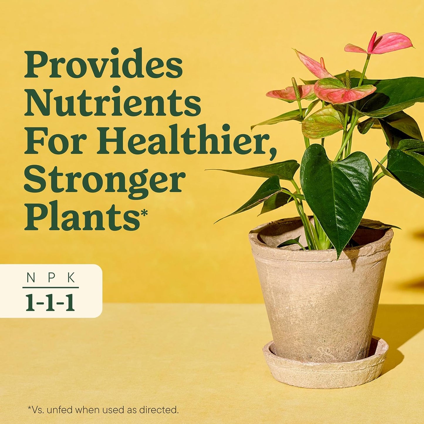 Miracle-Gro Indoor Plant Food - Liquid Nutrient Solution for Houseplants & Flowers | 8 fl. oz., 2-Pack