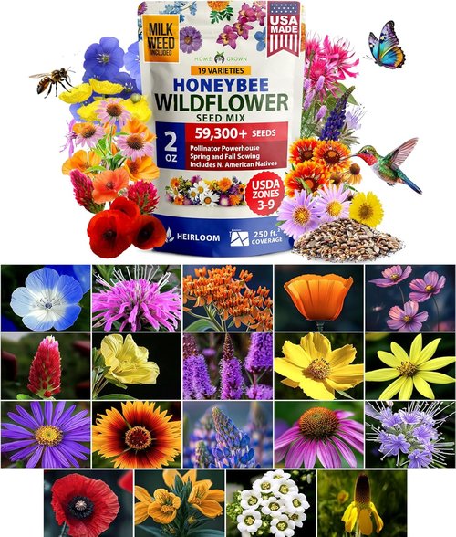 HOME GROWN Premium Wildflower Seeds Bulk Mix - 59,300+ Seeds in 19 Varieties for Pollinators | Perennial & Annual Seed Mix
