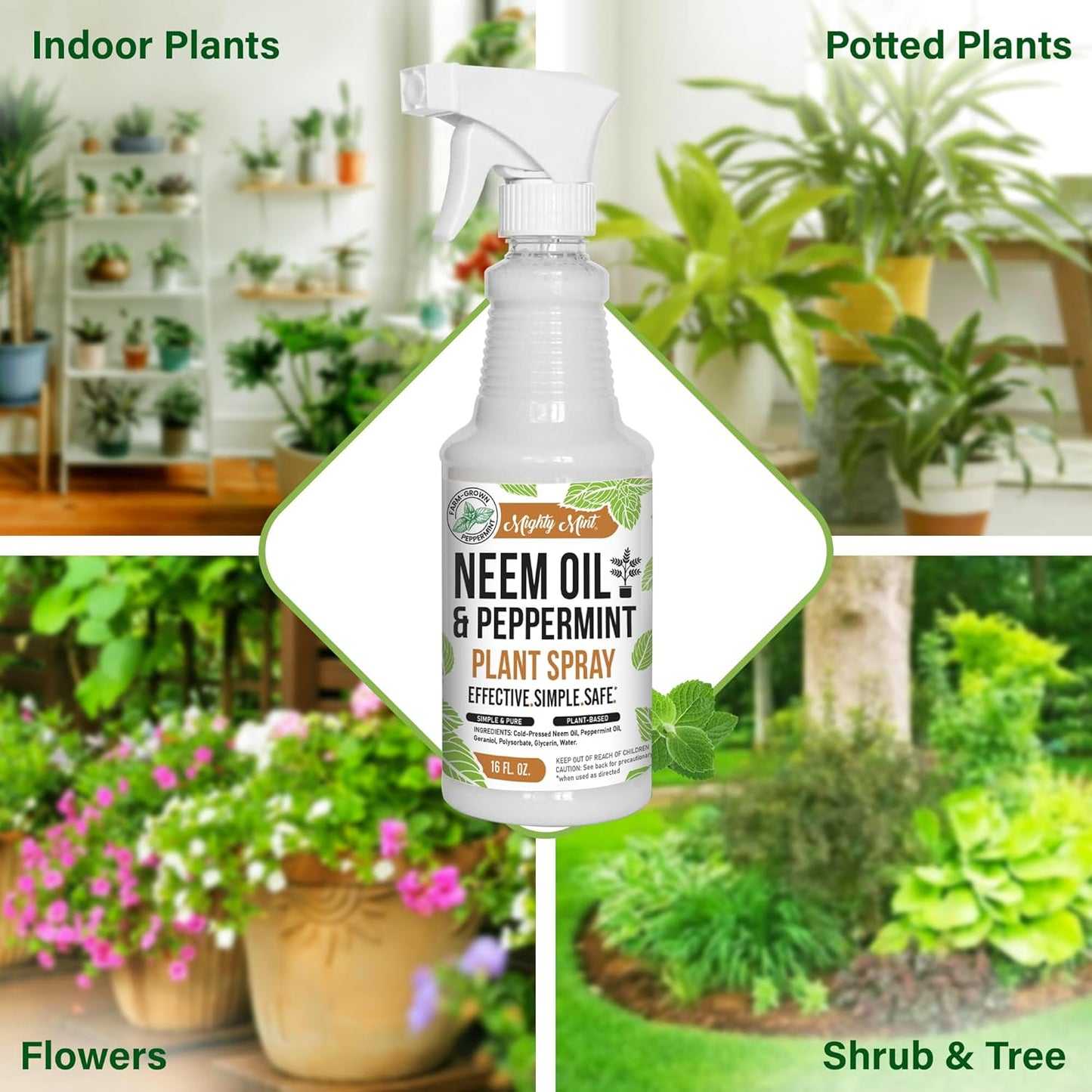 Mighty Mint Neem Oil & Peppermint Plant Nutrient Spray - Natural Leaf Shine for Healthy Plants | 16 oz