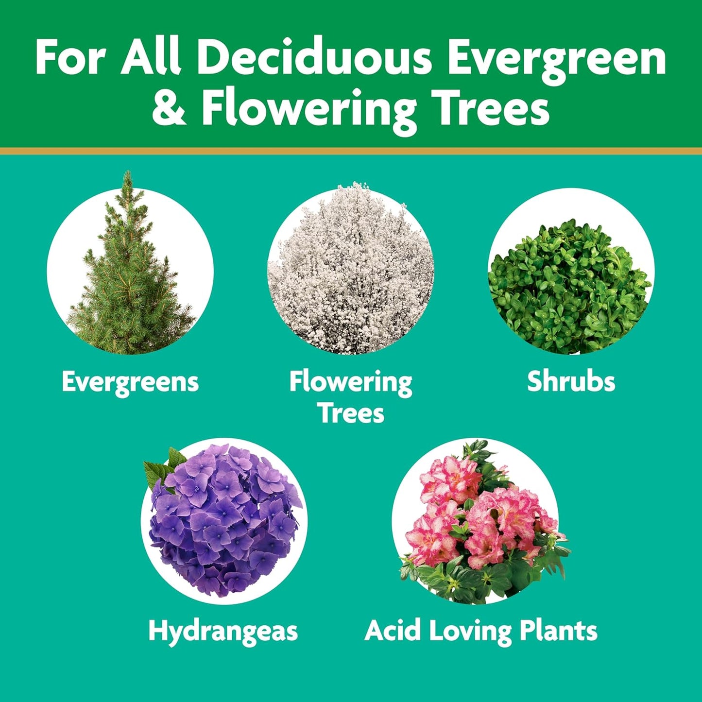 Miracle-Gro Tree and Shrub Plant Food Spikes - Fertilizer for Deciduous, Flowering & Evergreen Trees | 12 Count, 3 lb.