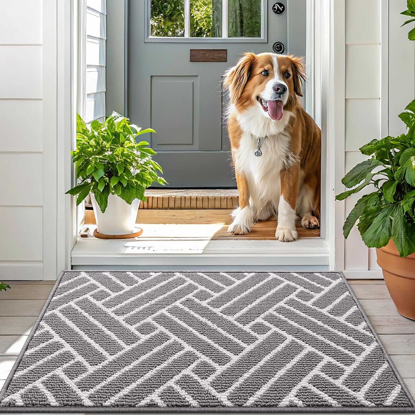 OLANLY Indoor Door Mat - 32x20 Inch, Dirt Resistant & Absorbent | Non-Slip Rubber Backing, Easy Clean Grey Doormat