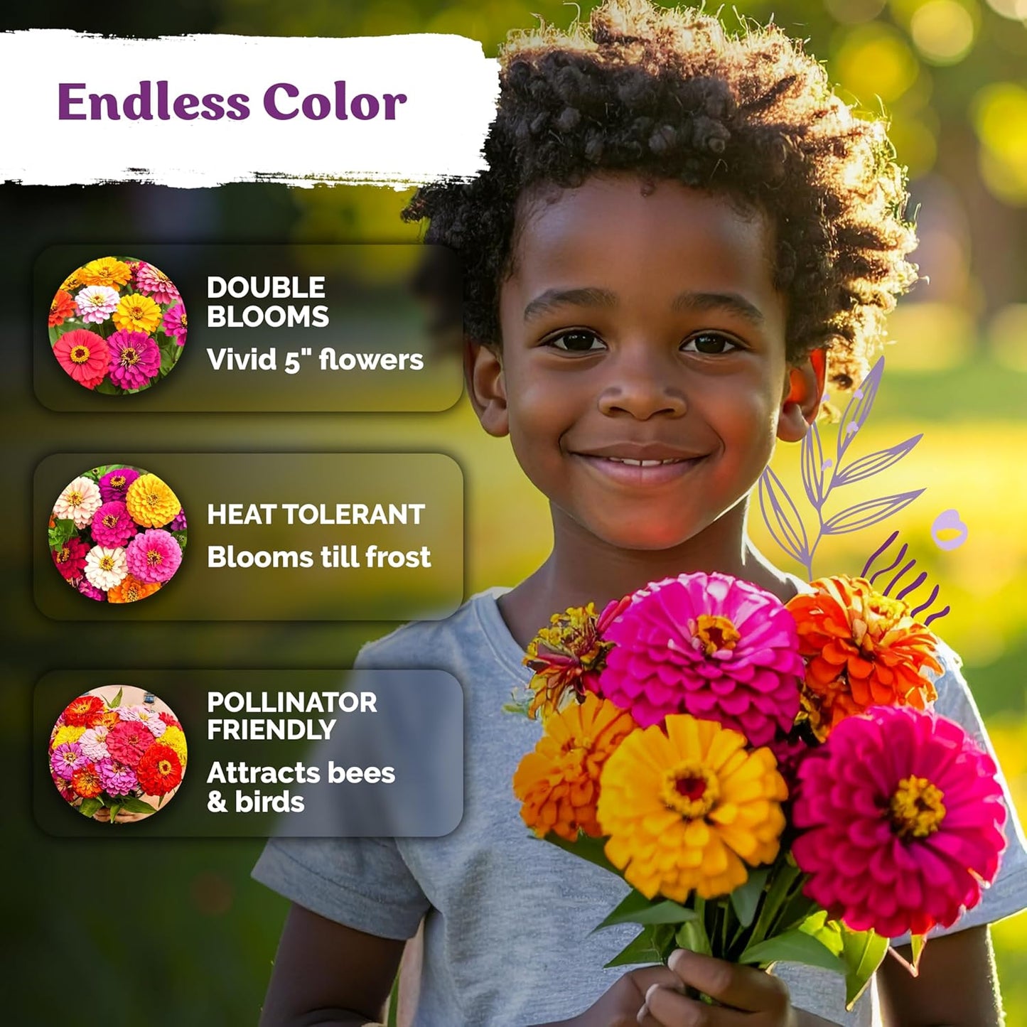 KVITER 550 Dahlia Zinnia Seeds - Non-GMO Heirloom Double Blooms for Garden & Cut Flowers | 2026 Mix