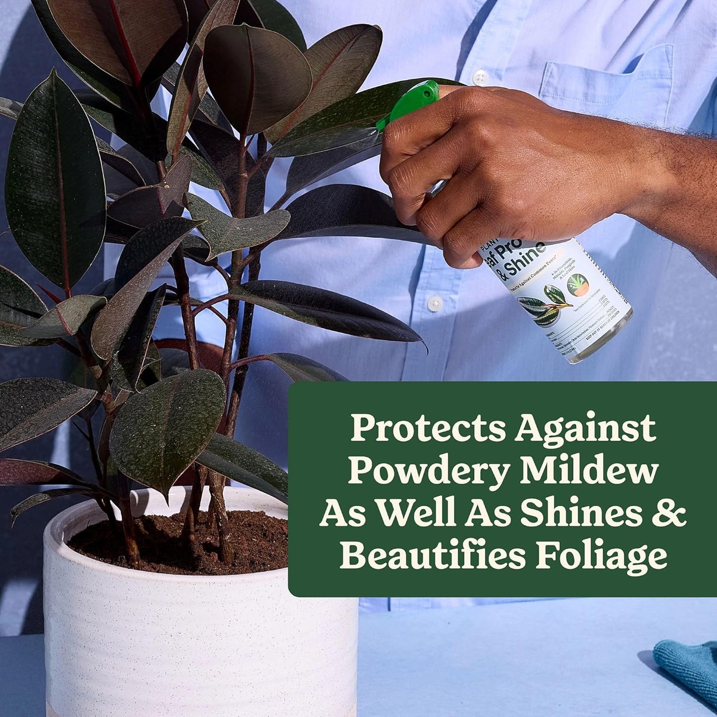 Miracle-Gro Leaf Protect & Shine Spray - 4-in-1 Insecticide, Miticide, Fungicide | 8 fl. oz., 2-Pack