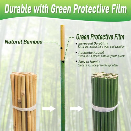Bamboo Sticks | 50Pcs 3ft Natural Bamboo Poles - Durable Garden Stakes for Indoor & Outdoor Plants