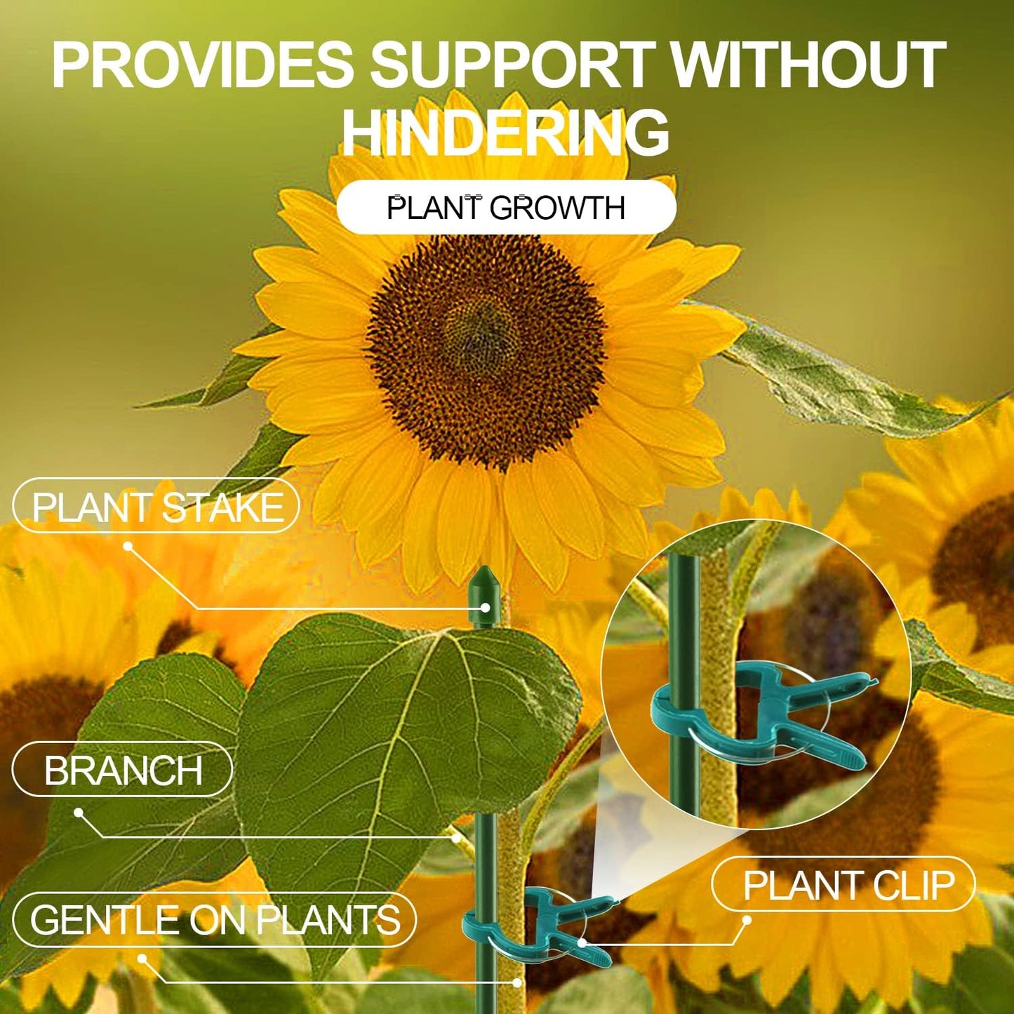 Yinghezu Plant Support Clips - 40 Pcs for Garden Tomatoes & Vines | 2 Sizes for Upright Growth