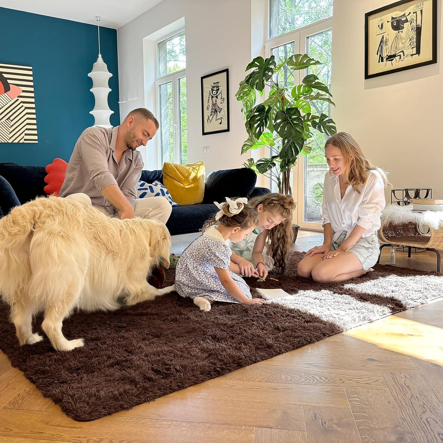OLANLY Area Rugs 5x6 - Soft, Fluffy Shaggy Indoor Carpet for Living Room, Bedroom, Nursery Decor