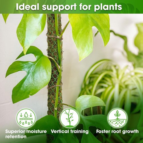 DUSPRO 42” Moss Pole - Natural Climbing Support for Monstera & Indoor Plants | Real Moss Stake