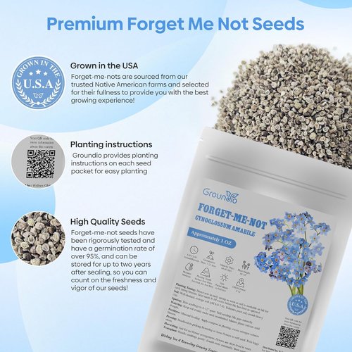Groundio Forget Me Not Seeds - 6000+ Non-GMO Wildflower Seeds for Outdoor Planting | Bulk 1 Ounce | Heirloom