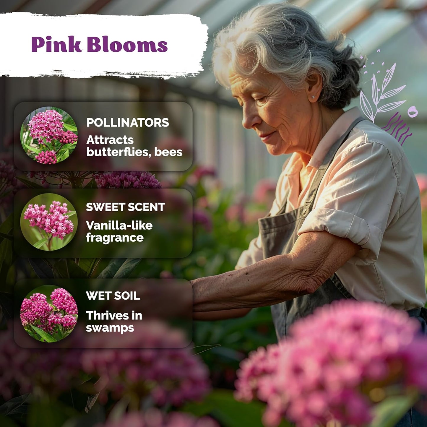 KVITER 150 Swamp Milkweed Seeds - Heirloom Pink Blooms for Butterfly & Honeybee Pollinators | Perennial Wildflower