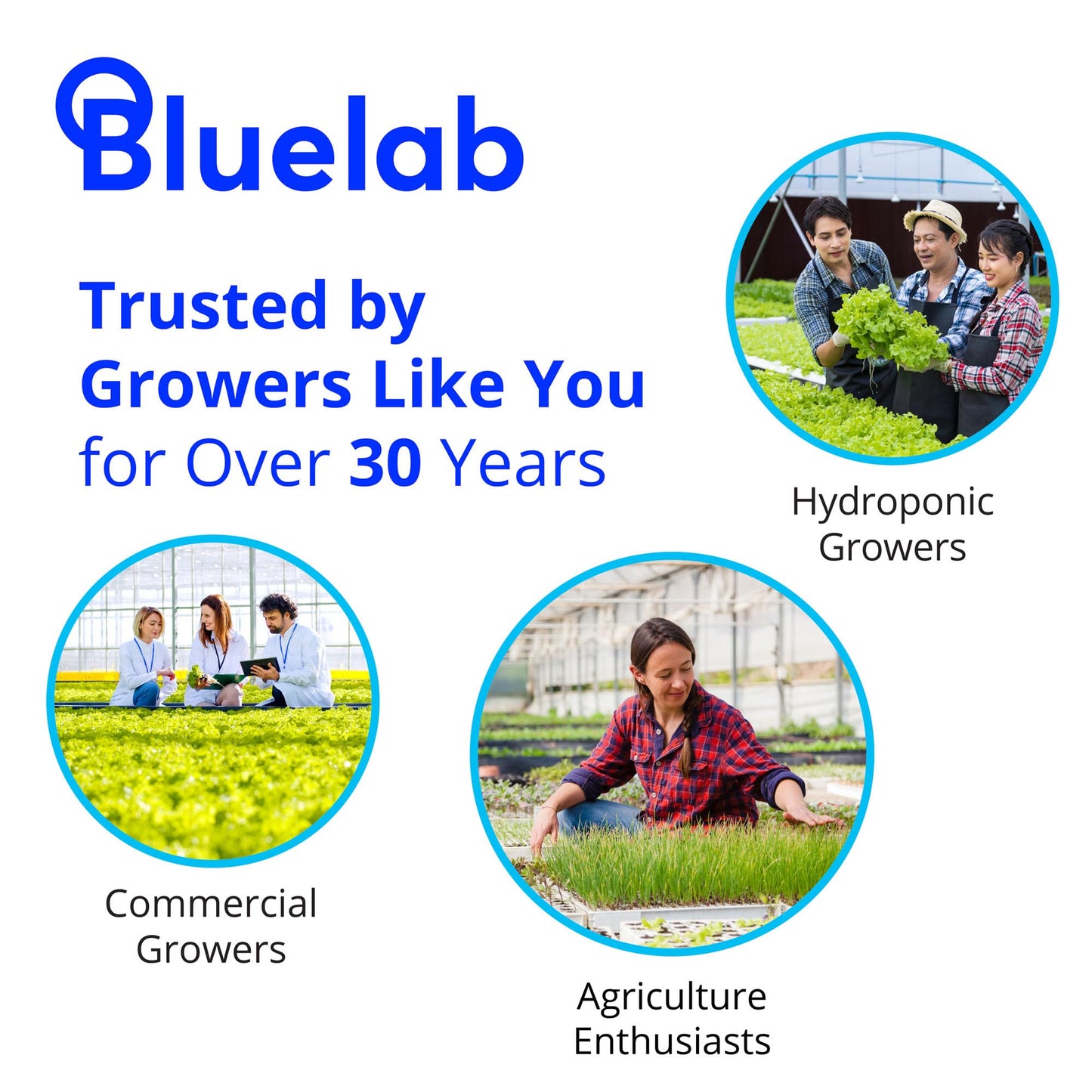 BlueLab 2.77EC Conductivity Solution, PH 7.0, and PH 4.0 Calibration Solution Set 250 Milliliters
