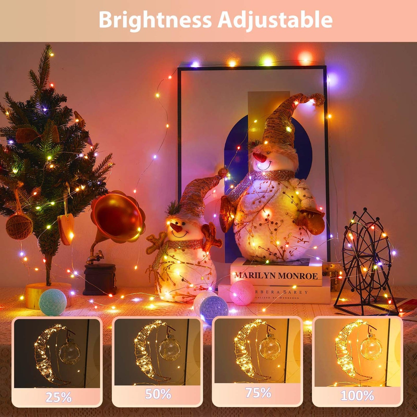 Ariceleo 1 Pack Warm White & Multi-Color Battery Operated String Lights, 5M/16.4ft. 50 LEDs Remote Control Timer 12 Modes Optional Twinkle Battery Powered Fairy Lights Sliver Wire Firefly Lights