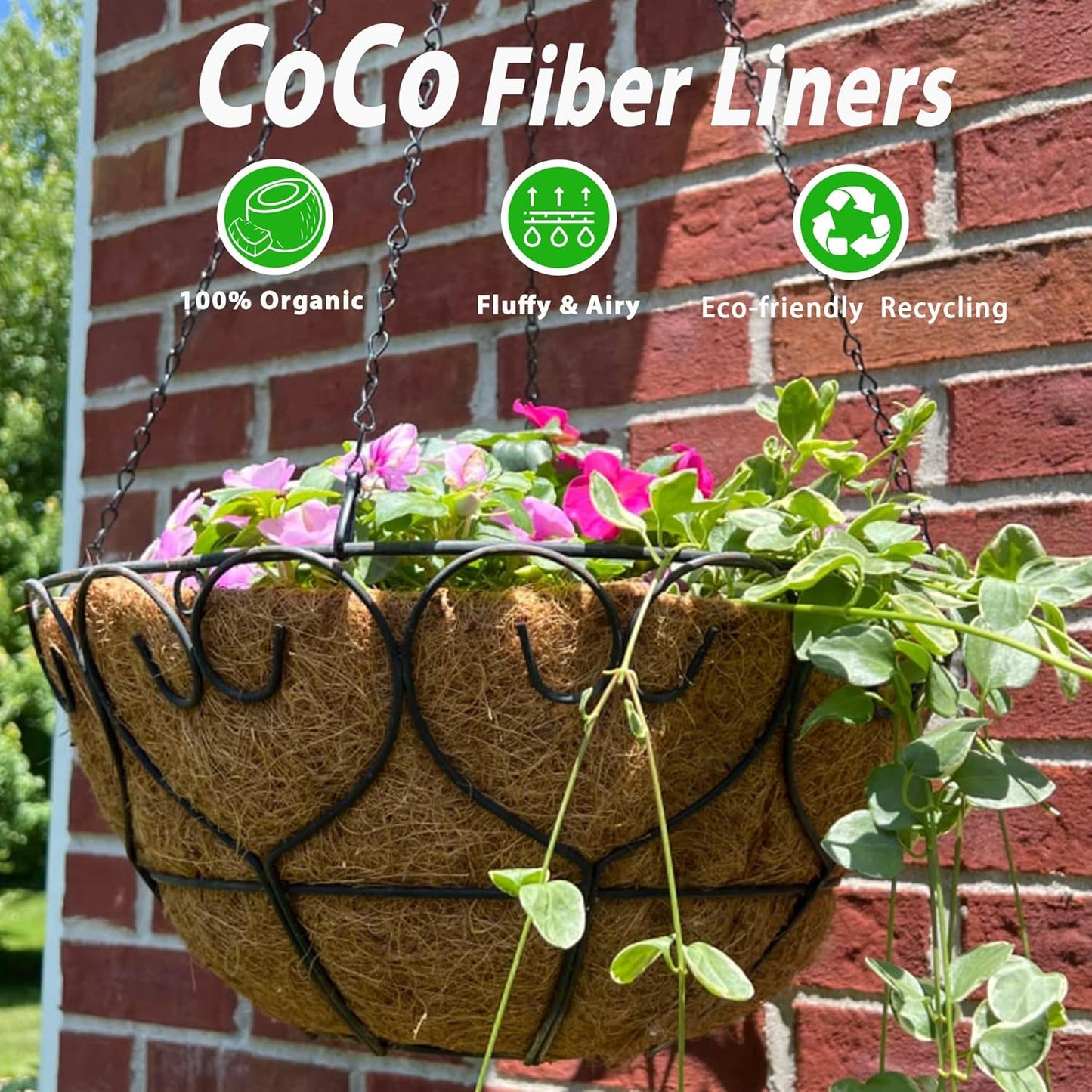 Skiennix 14-Inch Coco Liners - Natural Round Coconut Fiber Replacement for Hanging Baskets | 6 Pcs