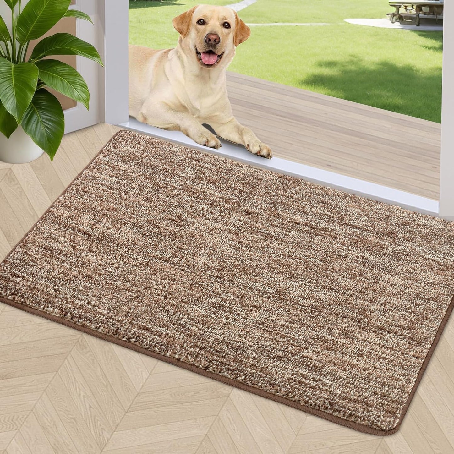 REFETONE Indoor Doormat - Absorbent Non-Slip Rubber Backing | Washable 20"x32" Coffee/Brown Rug