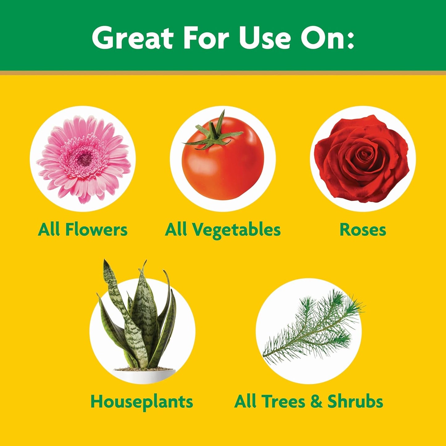Miracle-Gro All-Purpose Plant Food - Water Soluble Fertilizer for Indoor & Outdoor Plants | 1.5 lbs (Pack of 6)