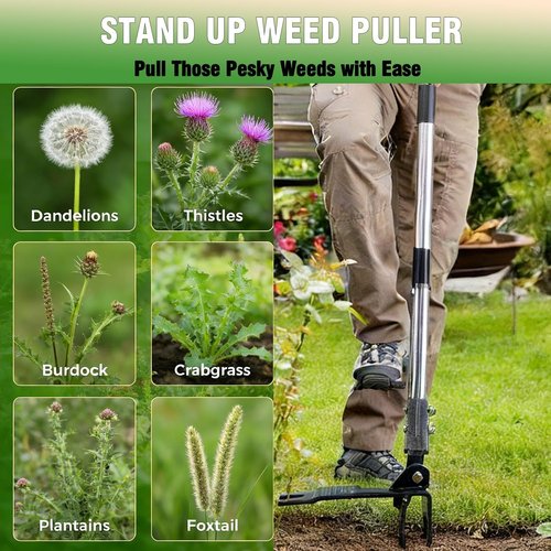 Heavy Duty Weed Puller Tool by [Brand Name] - Stand Up Weeder with Long Stainless Steel Handle & 4-Claw Head