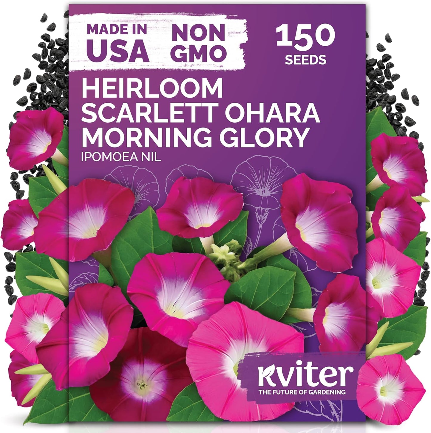KVITER 150 Morning Glory Seeds - Non-GMO Heirloom Red Flower Seeds for Planting in Gardens & Containers