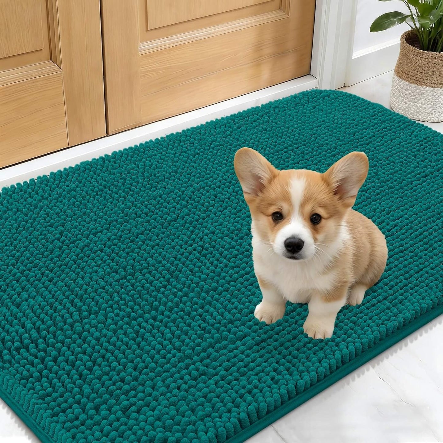 OLANLY Dog Door Mat - Absorbent Non-Slip Chenille Mat for Muddy Paws | 24x16, Quick Dry, Lake Blue