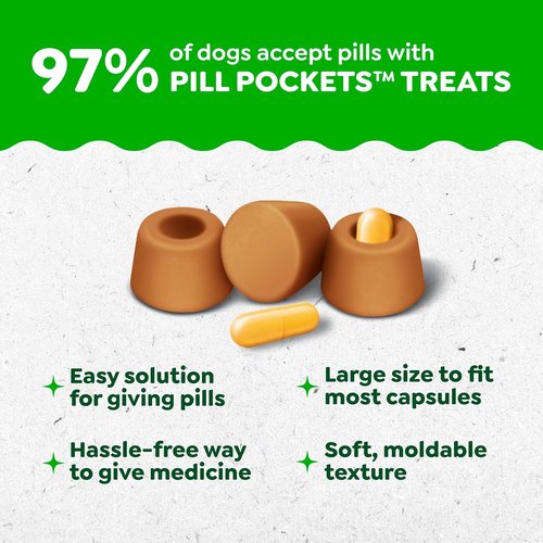 Greenies Pill Pockets - Large Dog Treats for Capsule Medication | Peanut Butter Flavor, 15.8 oz Pouch