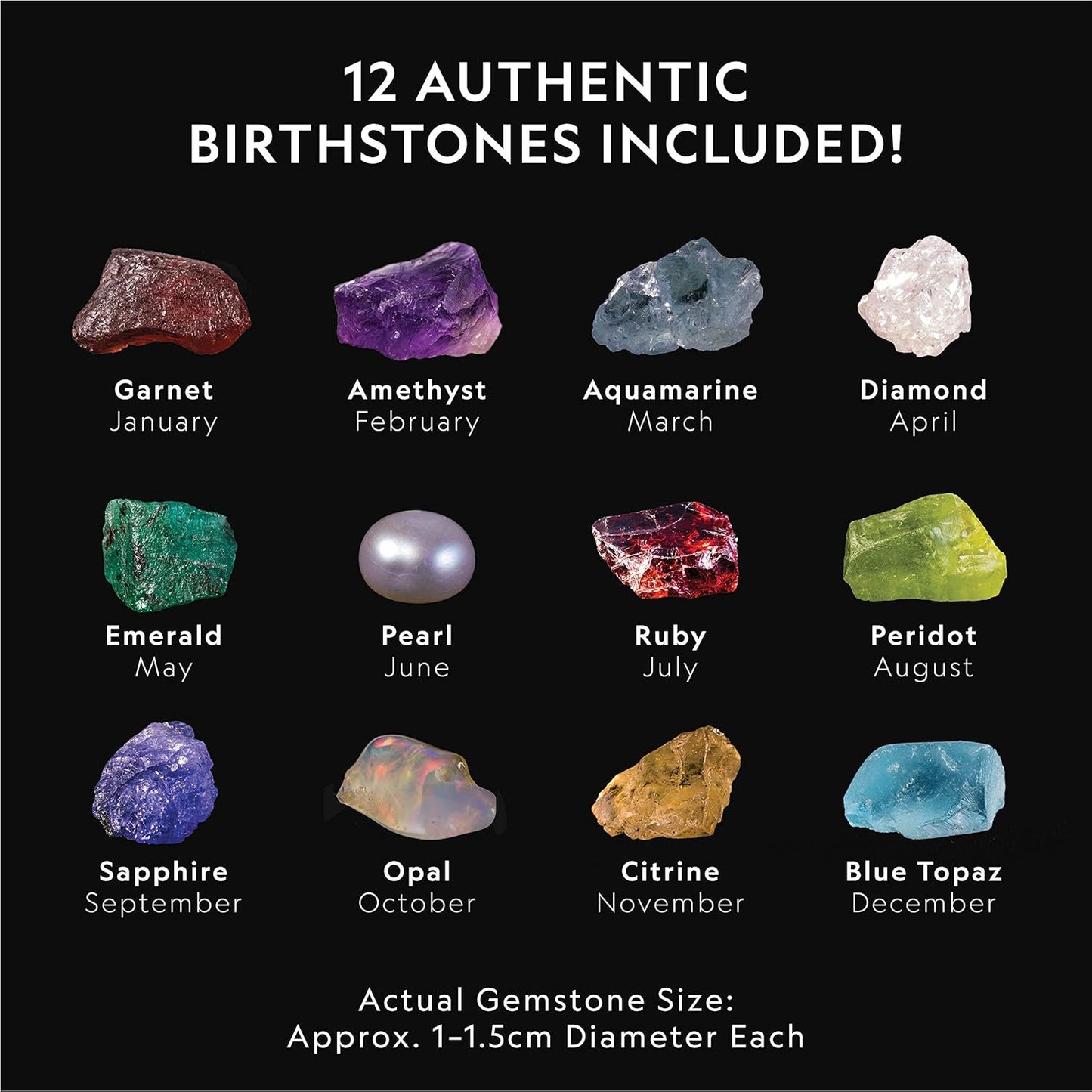 National Geographic Birthstone Dig Kit - Discover 12 Genuine Birthstones Including Diamond, Ruby, & Sapphire | Educational Science Kit