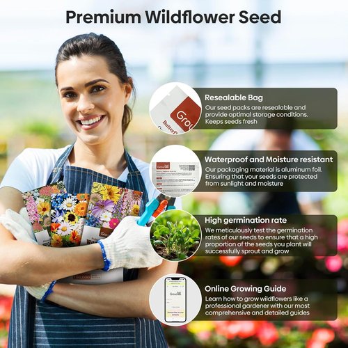 Groundio Wildflower Seeds - 100,000+ Bulk Seeds | 26 Variety Mix to Attract Pollinators - 1/4 lb